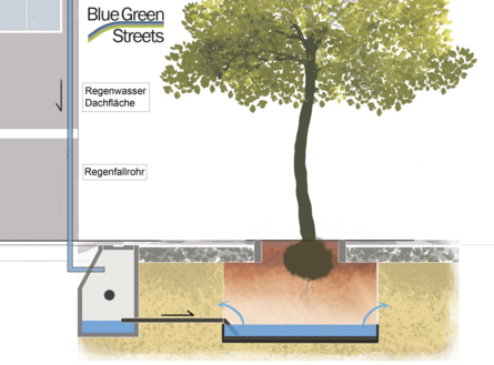 Schemazeichnung Wasserreservoir Straßenbegrünung