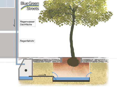BlueGreenStreets Schemazeichnung Wasserreservoir Straßenbegrünung