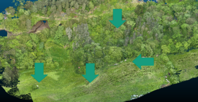Waldscene aus einer Übung des MHD