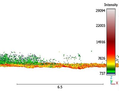 Underwater Vegetation point cloud visualization in CloudCompare