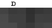 Medien und Didaktik